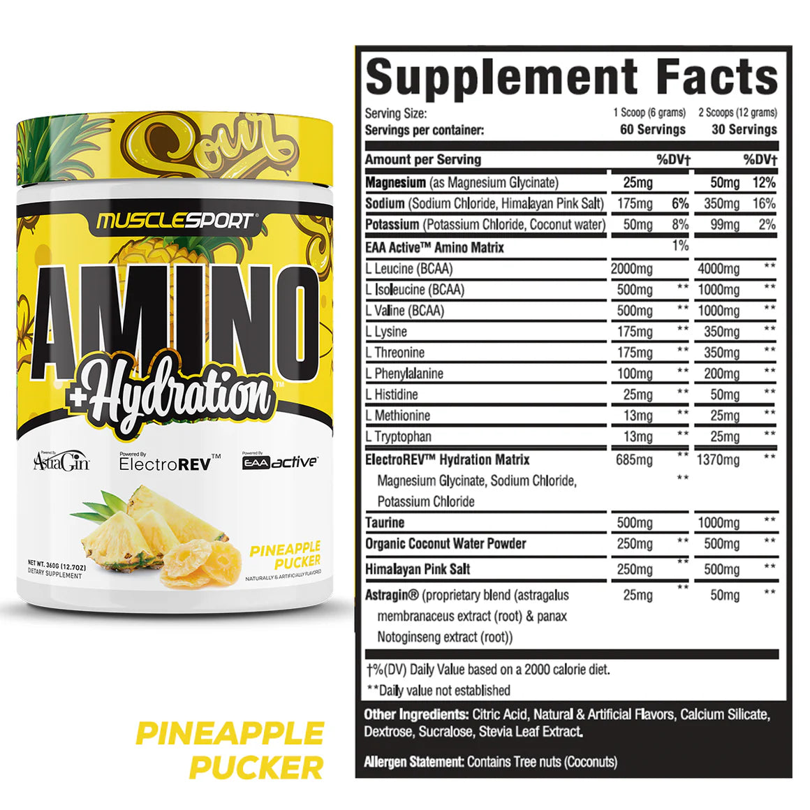 Musclesport Amino + Hydration
