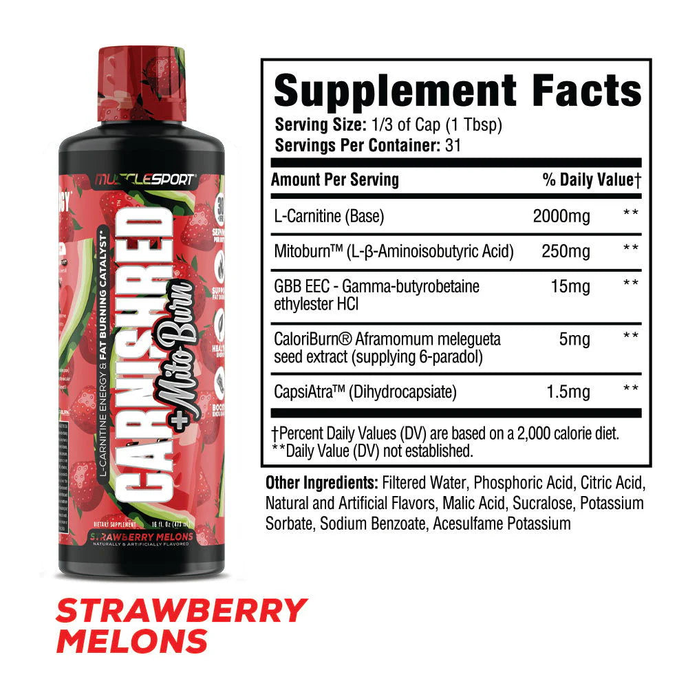 Muscle Sport CarniShred®+ Mitoburn® 16oz Liquid - Non Stim Metabolism Support, - Workout Catalyst